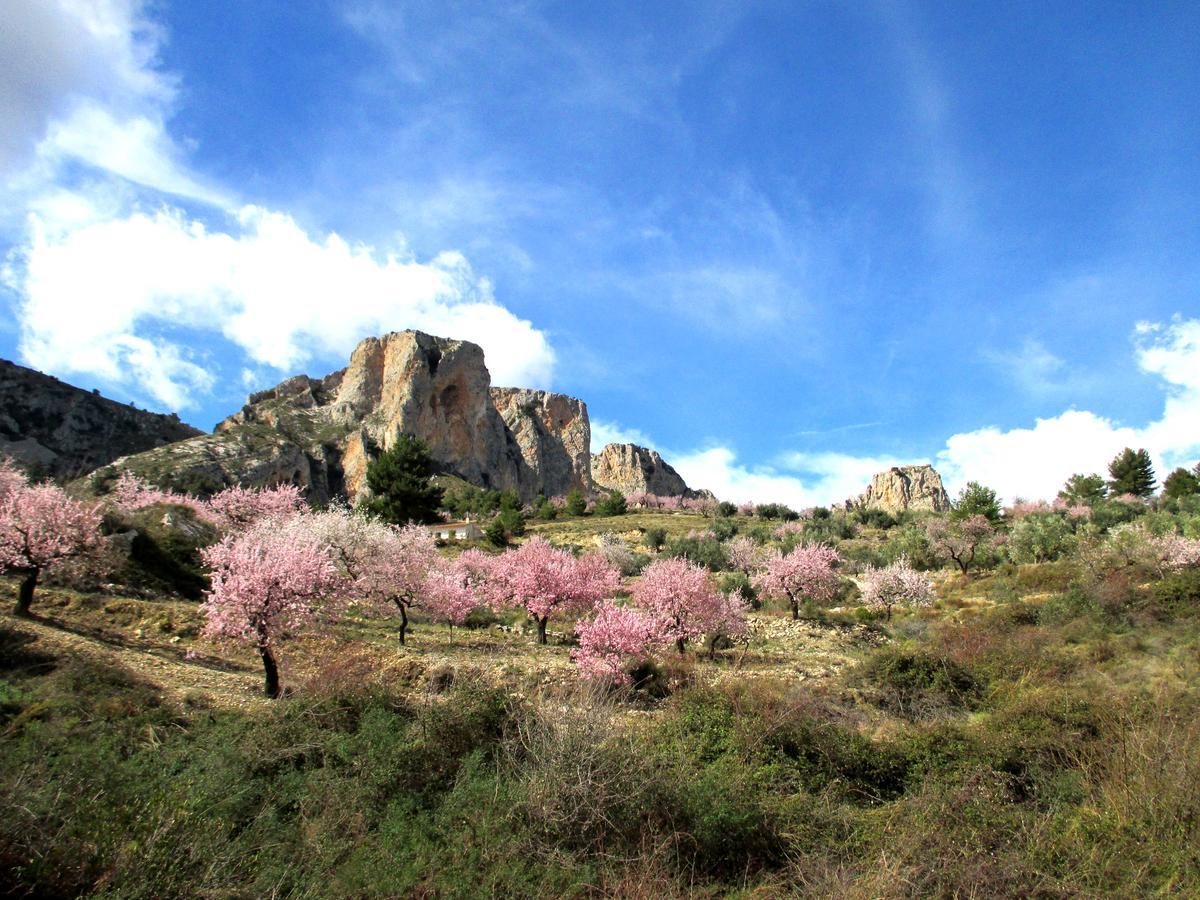 Отель Podiumberg Quatretondeta Экстерьер фото